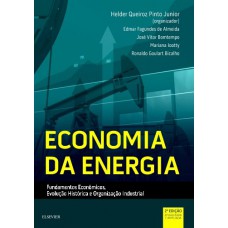 Economia da Energia: Fundamentos Econômicos, Evolução Histórica e Organização Industrial