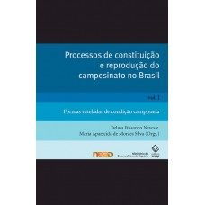 Processos de constituição e reprodução do campesinato no Brasil - Vol. I